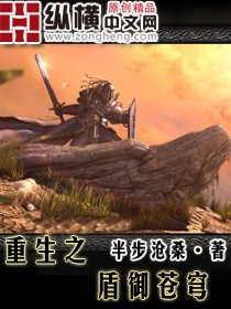  重生之盾御苍穹