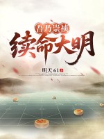 吾乃崇祯，续命大明