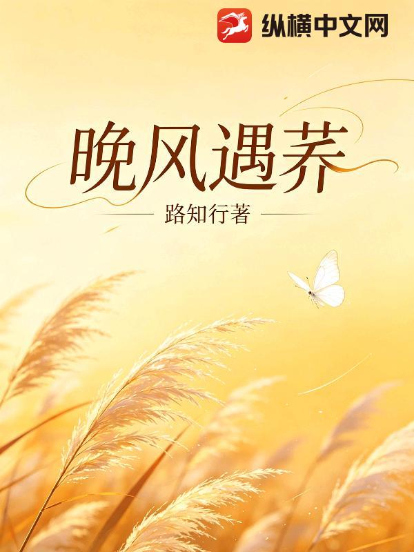 晚风遇荞