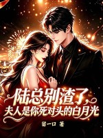 陆总别渣了，夫人是你死对头的白月光
