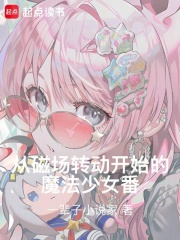 从磁场转动开始的魔法少女番！